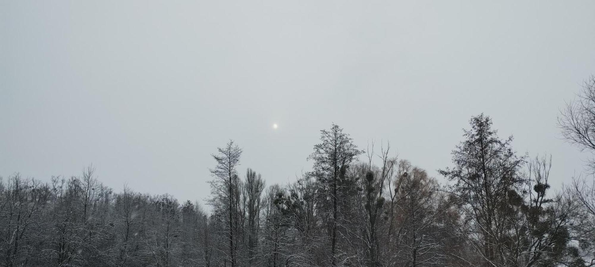 Hotel Шафран Krasnaya Slobodka Esterno foto
